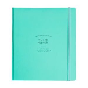 OGAMI PROFESSIONAL NOTEBOOK Light Blue - regular - hardcover - ruled